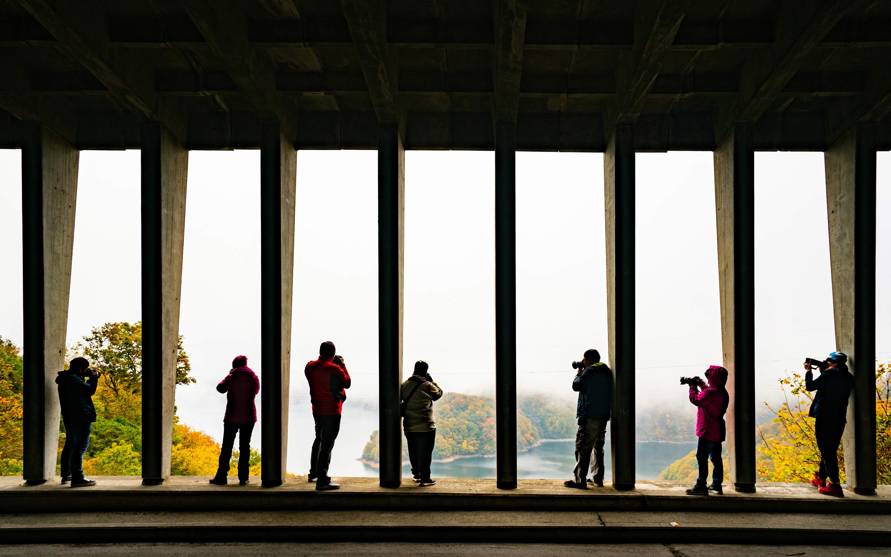 Natural Light Photography Tips for Beginners to Get Started