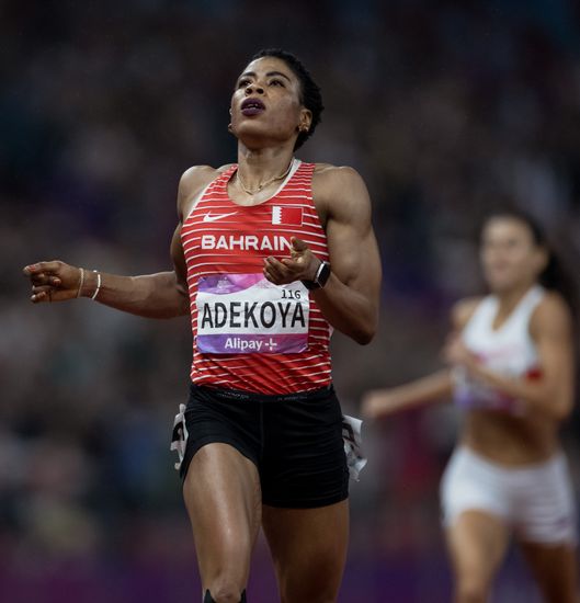 Porno gozal erkalaydi mushuk