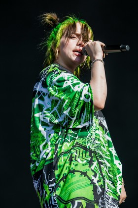 ミュージシャン Billieeilish ビリー アイリッシュ Billie Eilish Bling ミュージシャン