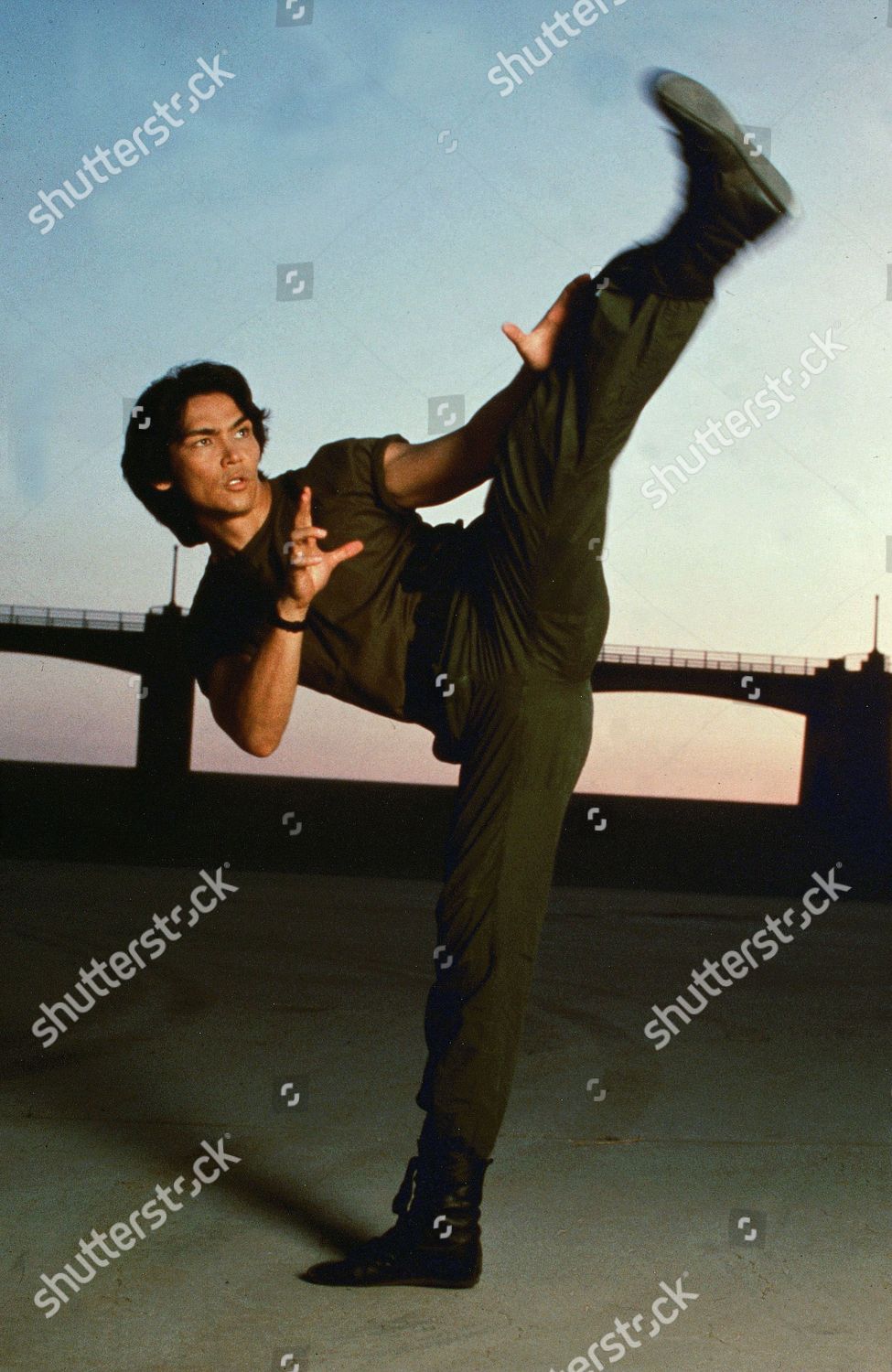 ドナウィルソン ドラゴンのダスティ Don 'The Dragon' Wilson