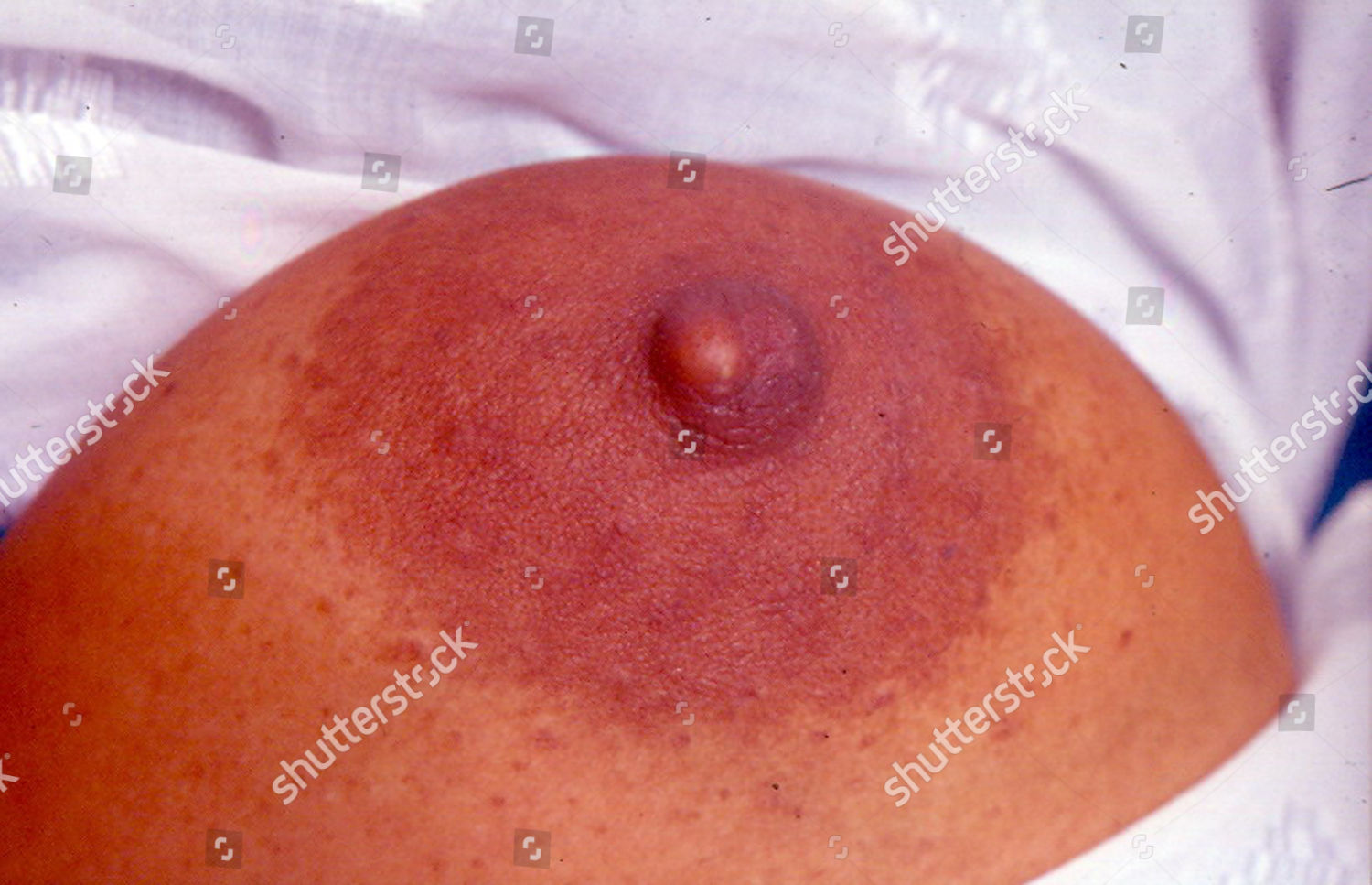 2009 yilning eng yaxshi jinsiy aloqa Jojalar oqimga tushmoqda (porno)