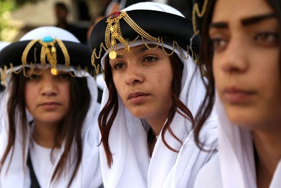 Ayolning dumba jinsi