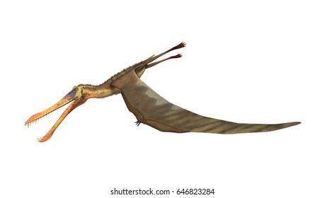 Egg Pterodactyl 3d Rendering Stock Illustration 747776197