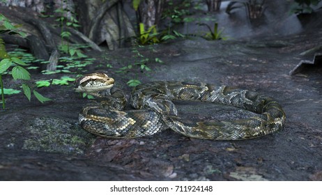 3d Rendering Python Forest Illustration Stock Illustration 711924148 ...