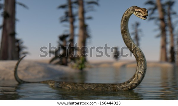 Giant Python Water Stock Illustration 168444023 | Shutterstock