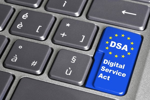 Dsa Icon Royalty-Free Images, Stock Photos & Pictures | Shutterstock