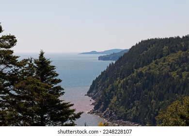 Fondo Gran Puente Sobre El Río Salmón En Fundy Trail Parkway Foto