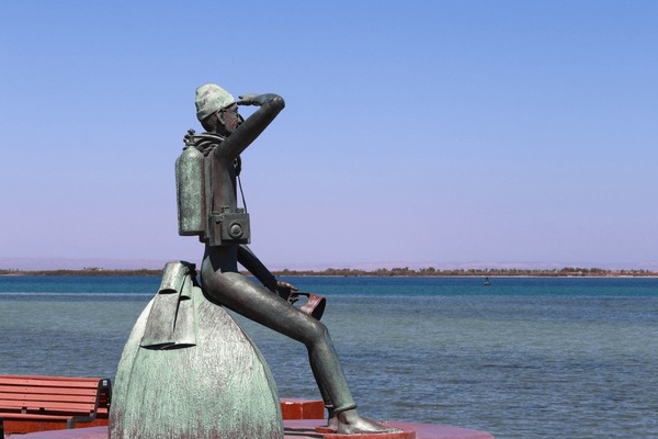 1+ Thousand Cousteau Royalty-Free Images, Stock Photos & Pictures
