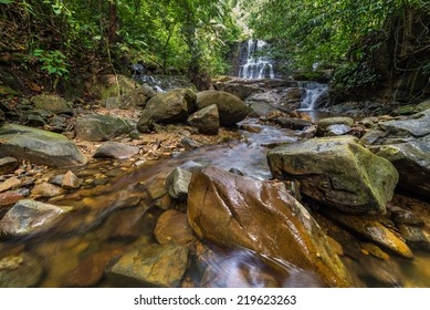 Stream flowing through lush tropical rainforest, Kubah National