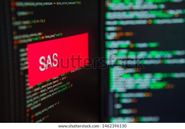 26 Sas® Programming Images, Stock Photos, 3D objects, & Vectors ...
