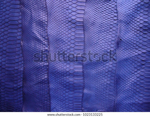 Python Skin Texture Blue Python Skin Stock Photo 1023133225 | Shutterstock