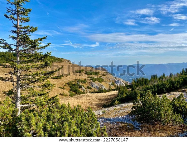 【WIDE LANDSCAPES】　　早期REICHSDRUCKEREI 社 il_fullxfull.6262856585_nv0c.jpg