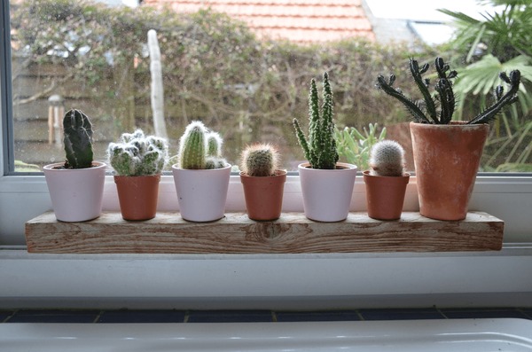 26+ Thousand Cactus Silhouette Royalty-Free Images, Stock Photos