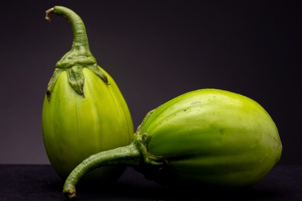 Jilo Scarlet. African Eggplant Stock Image - Image of green, garden:  82840789