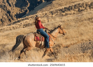 109+ Thousand Western Horse Royalty-Free Images, Stock