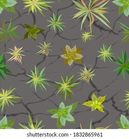 9 Plant Breaking Through Stock Vectors, Images & Vector Art | Shutterstock