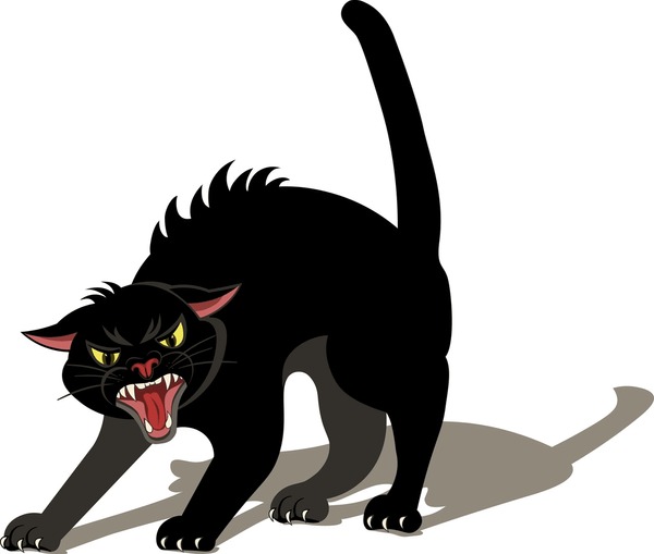 Angry Cat Graphic Stock Illustrations, Cliparts and Royalty Free Angry Cat  Graphic Vectors