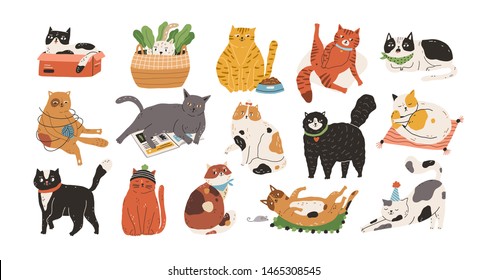 Bundel schattige katten die slapen, zich uitstrekken, spelen met een bol garen, verstoppen zich in doos of mand. Set van raszuivere gezelschapsdieren geïsoleerd op witte achtergrond. Platte cartoon vectorillustratie.: stockvector