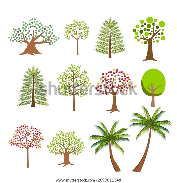 Collection Trees Tree Set Isolated On Stock Vector (Royalty Free ...