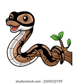 84 Black Ball Python Stock Vectors, Images & Vector Art | Shutterstock