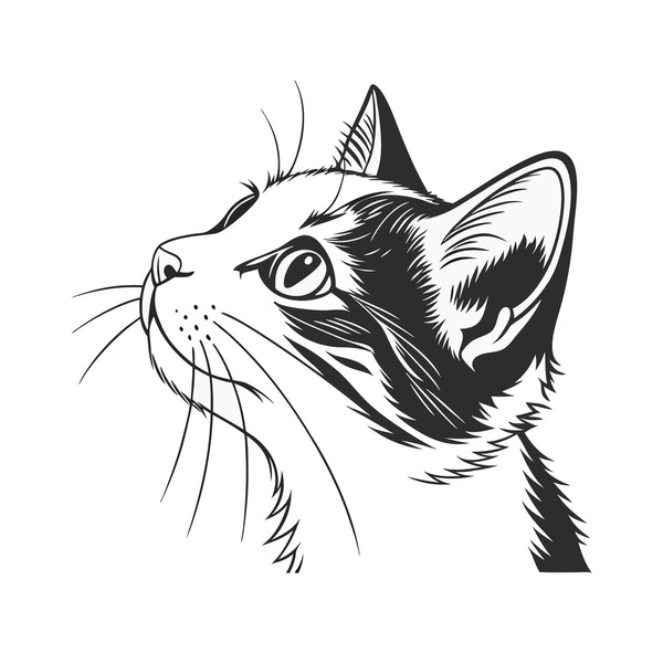120 Cute Cate With Kids Royalty-Free Photos and Stock Images | Shutterstock