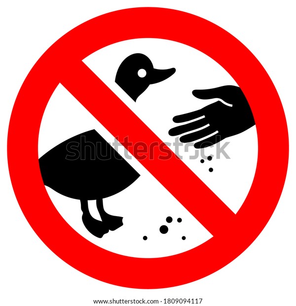 Do Not Feed Birds Forbidden Sign Stock Vector (Royalty Free) 1809094117