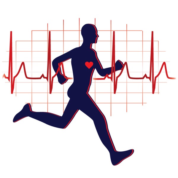 Cardio Test Sport: Over 839 Royalty-Free Licensable Stock