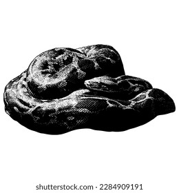 Non Venomous Indian Snakes: Over 4 Royalty-Free Licensable Stock ...