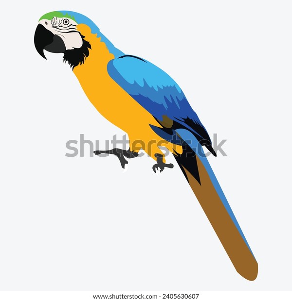 Guacamayo azul: Más de 13,875 ilustraciones y dibujos de stock con licencia libres de regalías | Shutterstock guacamayo-azul-m-s-de-13-875-ilustraciones-y-dibujos-de-stock-con-licencia-libres-de-regal-as-shutterstock