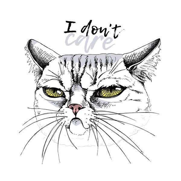 How to draw angry cat! Follow me on instagram! #drawing #cat