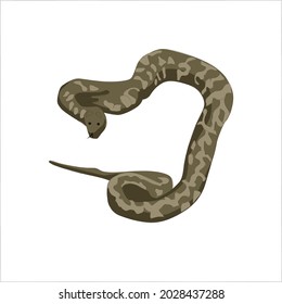 Python Color Vector Clipart Design: เวกเตอร์สต็อก (ปลอดค่าลิขสิทธิ์ ...