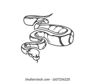 9,930 Ball Python Royalty-Free Images, Stock Photos & Pictures ...