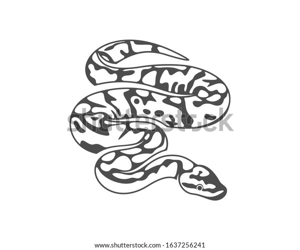 Python Snake Logo Vector Animal Graphic: vetor stock (livre de direitos ...