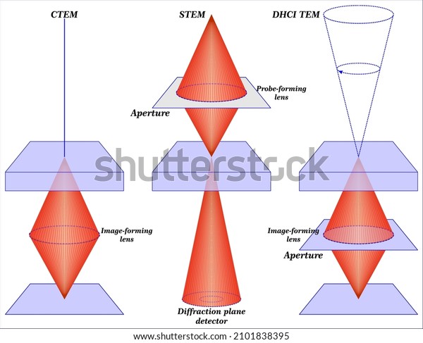 Ray Diagram Tem Stem Showing Principle Stock Vector (Royalty Free ...