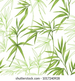 Seamless pattern, background with bamboo  on white background. Hand drawn colorful vector illustration without transparent and gradients. Stock Vector