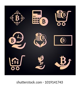 Set Bitcoin Vector Simple Stock Vector (Royalty Free) 1019141743 ...