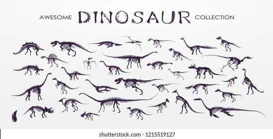 Set, silhouettes, dino skeletons, dinosaurs, fossils. Hand drawn vector illustration. Comparison of sizes, realistic Sketch collection: diplodocus, triceratops, tyrannosaurus, doodle pattern... Stock Vector