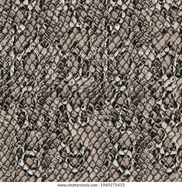 9,358 Piton background 이미지, 스톡 사진 및 벡터 | Shutterstock