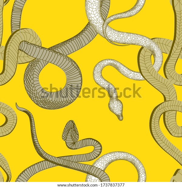 12 Ball Pythons Seamless Stock Vectors and Vector Art | Shutterstock