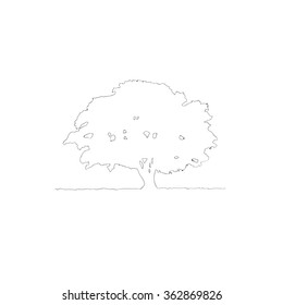 Spreading Tree Vector Illustration Stock Vector (Royalty Free ...