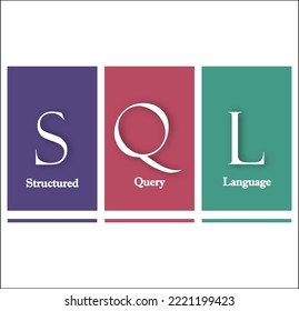 16,607 Language Infographic Stock Vectors, Images & Vector Art ...