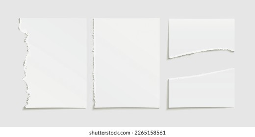 17+ Collage With Torn Paper