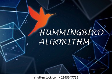Hummingbird Algorithm Photos and Images | Shutterstock