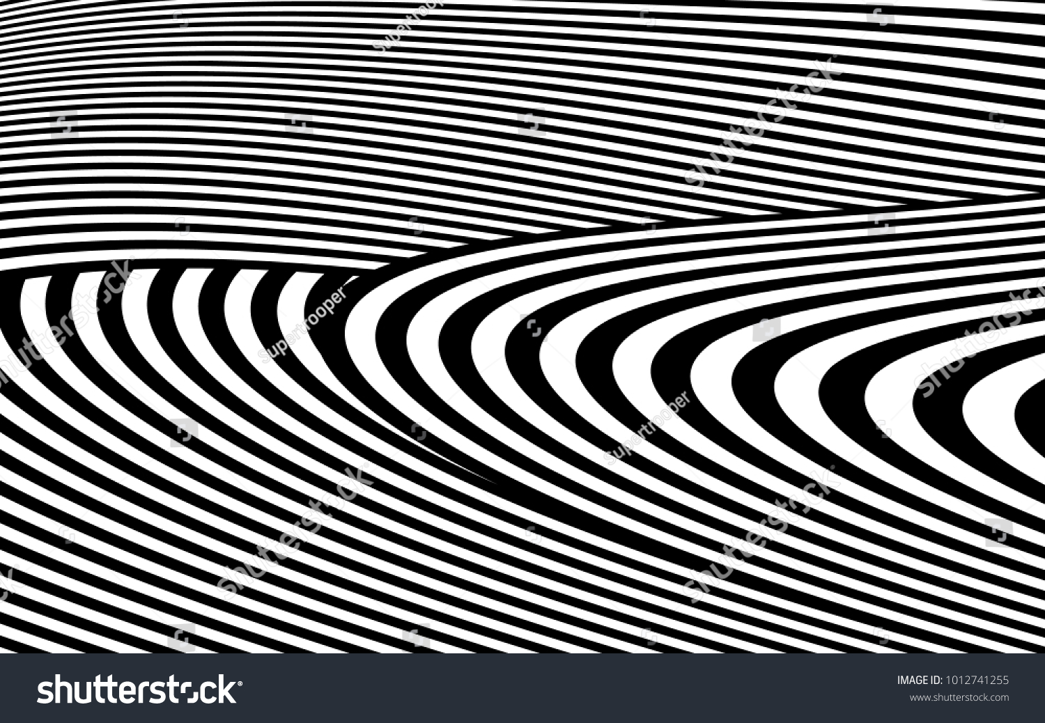 Zebra Lines Design Black White Stripes Stock Vector (Royalty Free