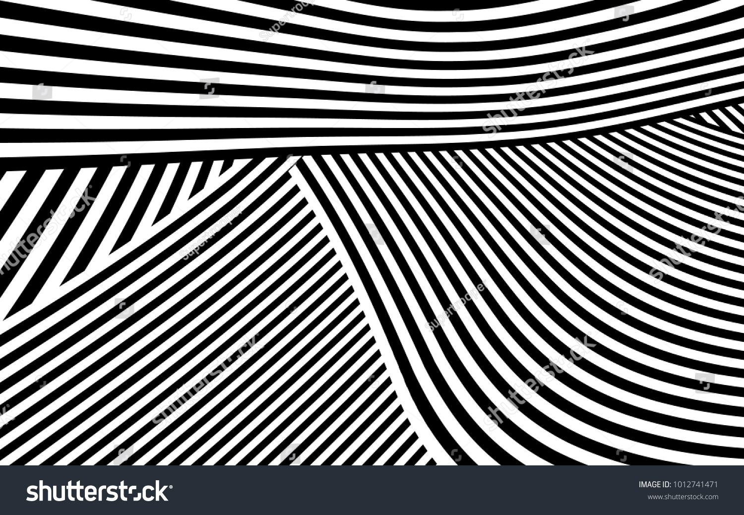 Zebra Lines Design Black White Stripes Stock Vector (Royalty Free
