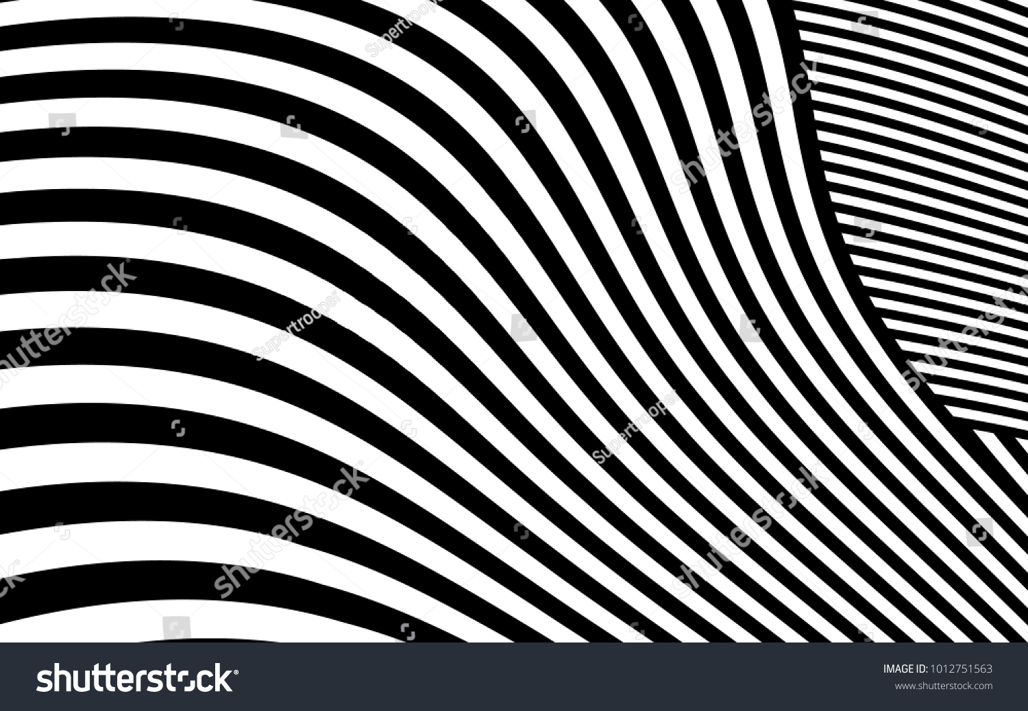 Zebra Lines Design Black White Stripes Stock Vector (Royalty Free