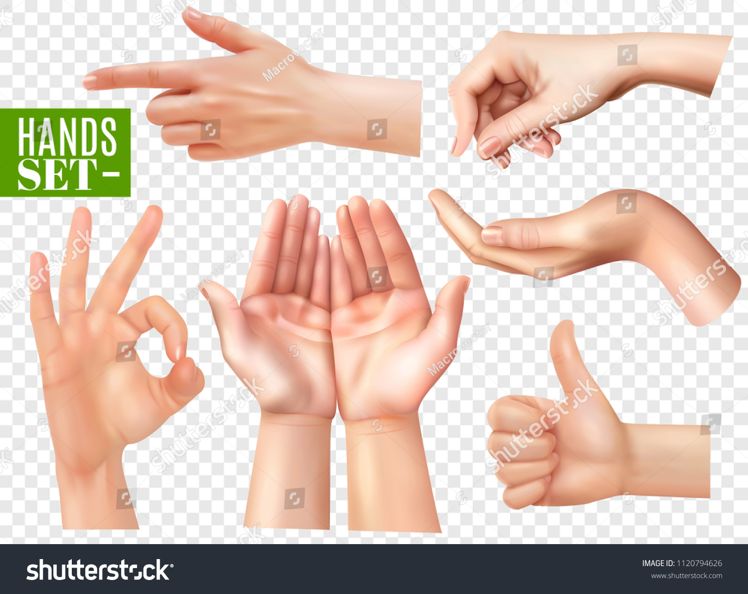 кисть руки вектор. тутуха для пальца на листе. Hand set. язык руками в картинках. набор для скульптуры из рук.