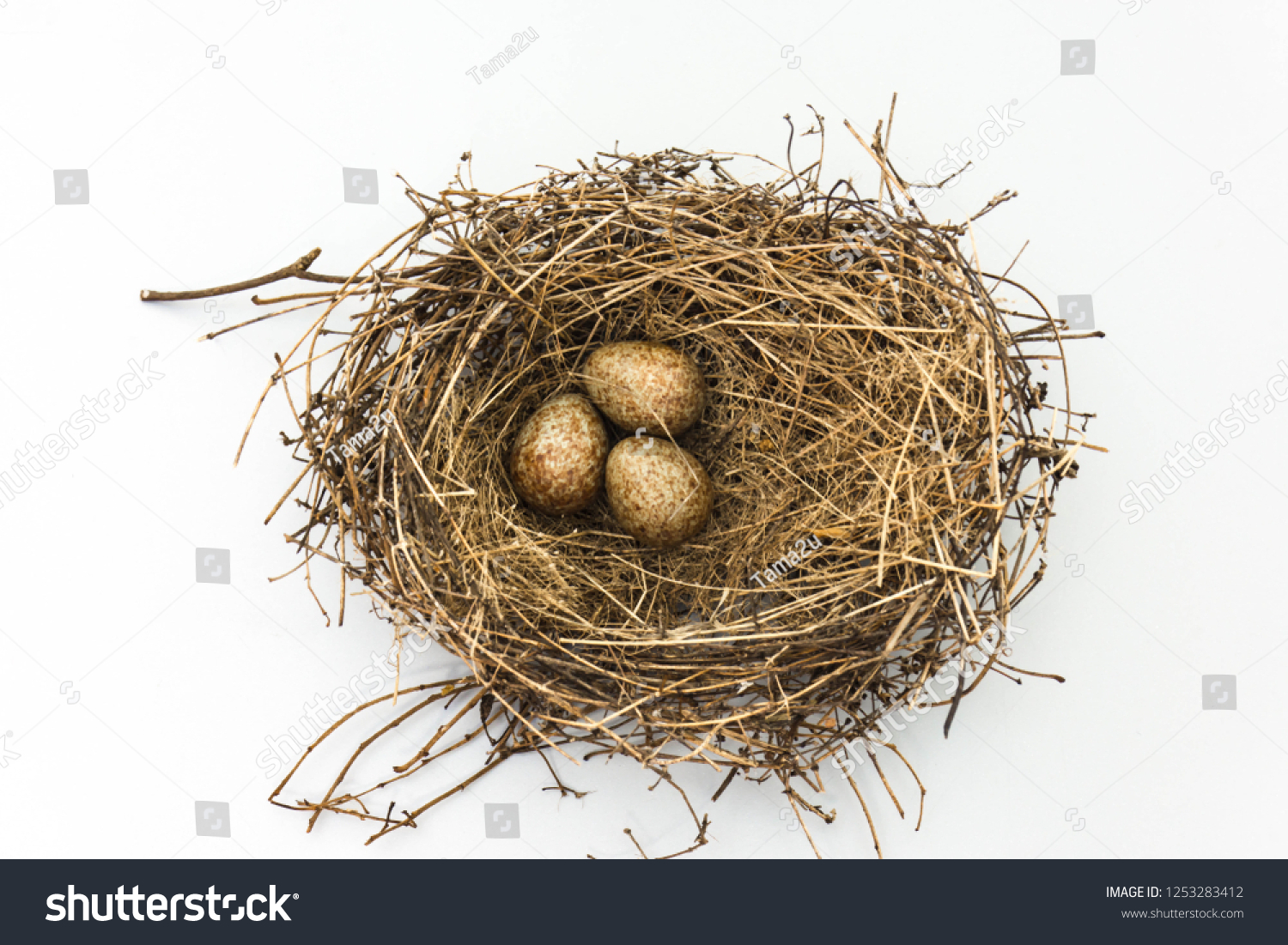 Magpie's Nest — menacing egg