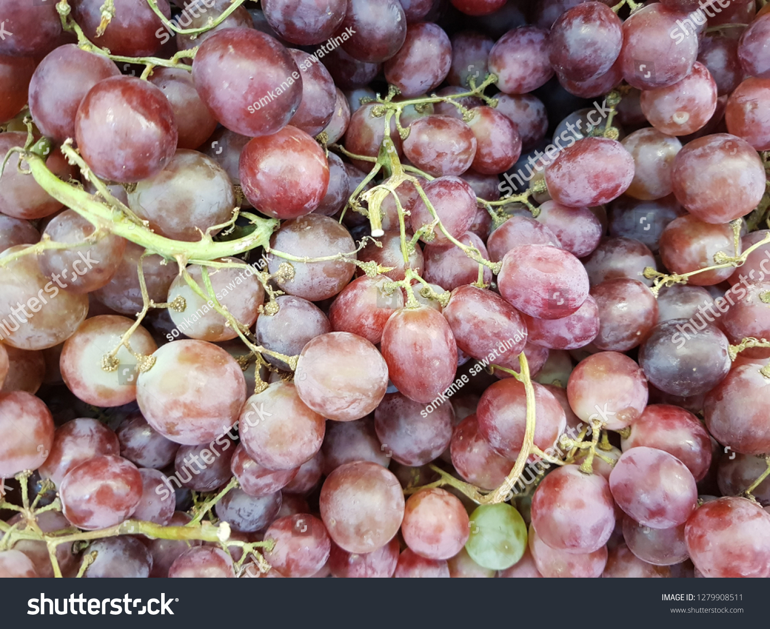 Red Grapes Contain Important Nutrients Resveratrol Stock Photo