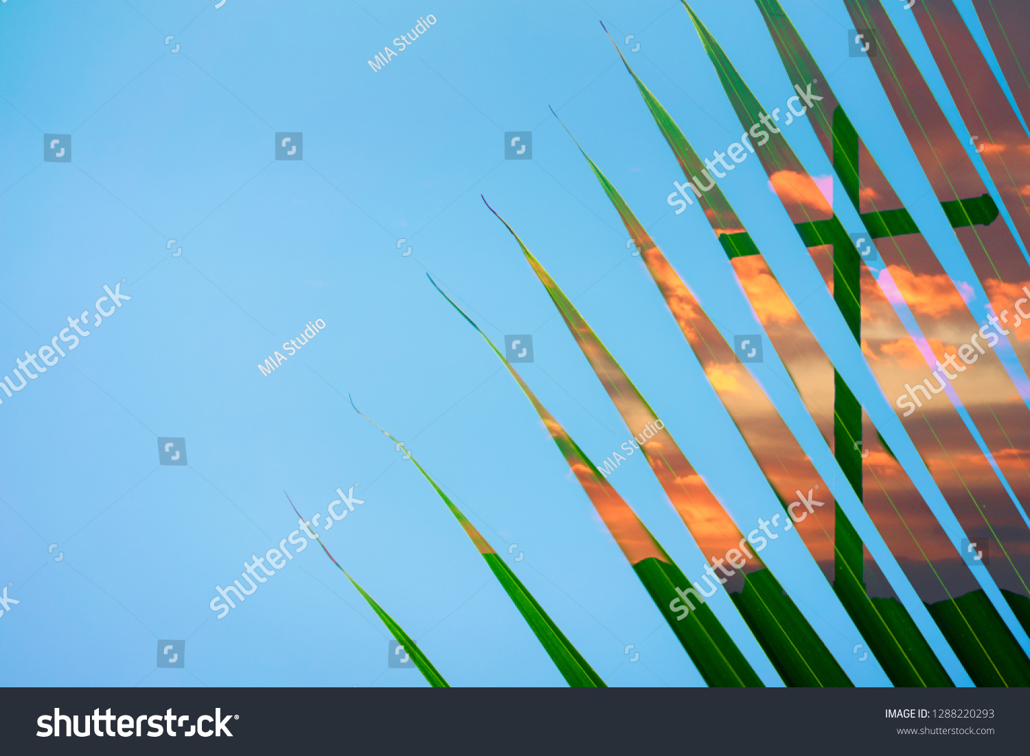 1,776 Palm Tree Jesus Stock Photos, Images & Photography | Shutterstock